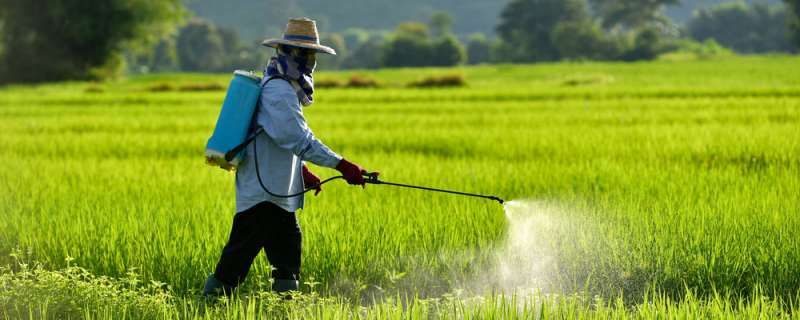Future of insecticides in Africa – sustainable pest management solutions for agriculture