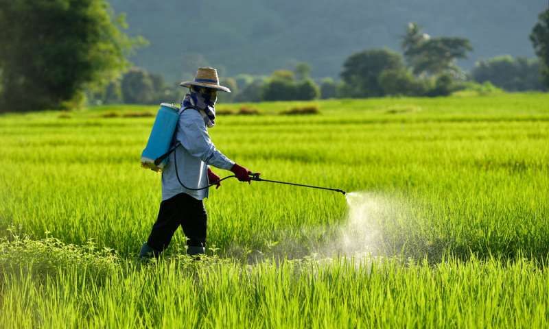 Future of insecticides in Africa – sustainable pest management solutions for agriculture