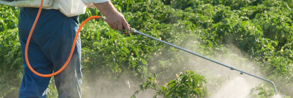 Modern African farmers using agrochemicals like fertilizers and pesticides to improve crop yields and sustainability.